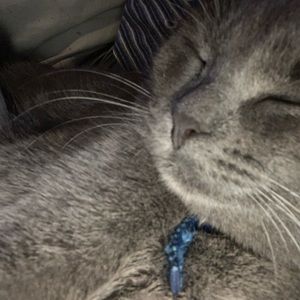 Meet your Posher, Ayrabella